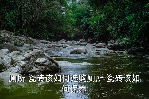 厕所 瓷砖该如何选购厕所 瓷砖该如何保养
