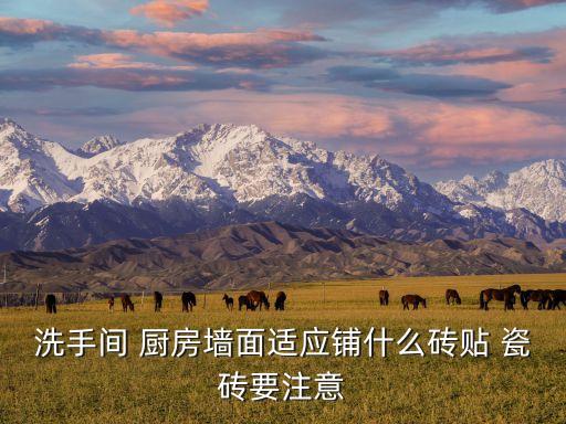 厨房瓷砖复古卫生间装修,卫生间装修不用瓷砖还能用什么