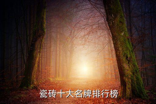 杭州哪个品牌瓷砖好,杭州第六空间瓷砖品牌
