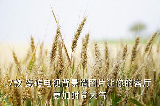 7款 瓷砖电视背景墙图片让你的客厅更加时尚大气