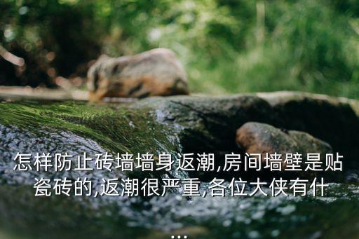 怎样防止砖墙墙身返潮,房间墙壁是贴 瓷砖的,返潮很严重,各位大侠有什...