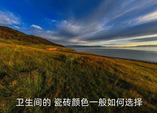 卫生间纯色瓷砖蓝色好吗,东鹏卫生间蓝色瓷砖