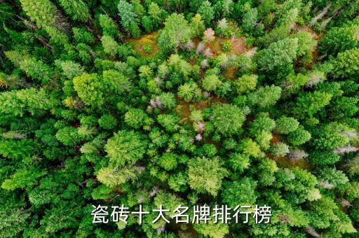  瓷砖十大名牌排行榜