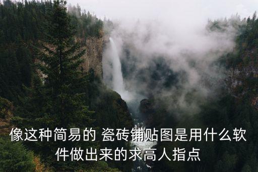 像这种简易的 瓷砖铺贴图是用什么软件做出来的求高人指点