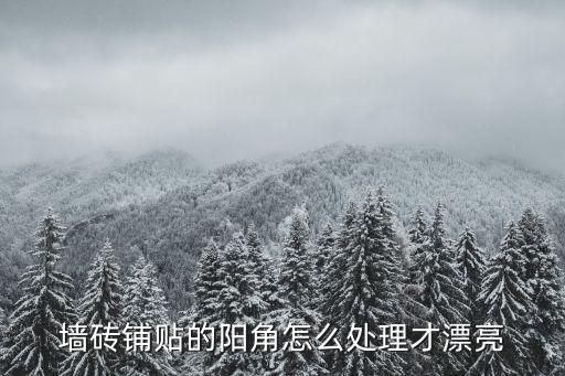 瓷砖工厂倒角效果图视频,瓷砖倒角是工厂倒还是工人倒?
