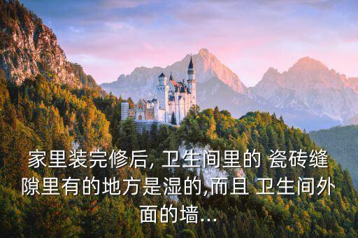 深色瓷砖卫生间湿区,卫生间深色瓷砖装修效果图