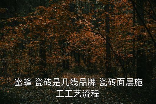  蜜蜂 瓷砖是几线品牌 瓷砖面层施工工艺流程