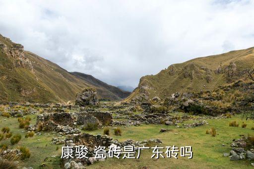 康骏 瓷砖是广东砖吗