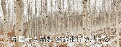 阜阳瓷砖品牌排名,中国瓷砖品牌前30排名