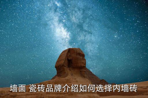 墙面 瓷砖品牌介绍如何选择内墙砖