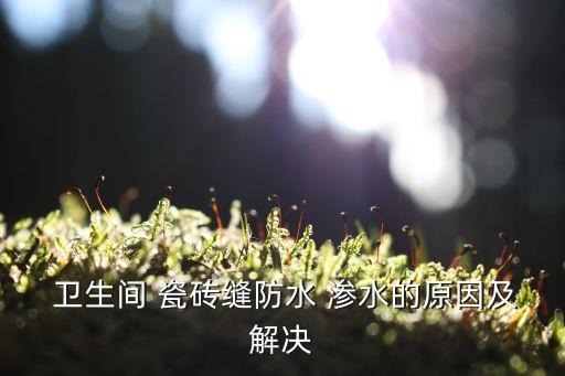  卫生间 瓷砖缝防水 渗水的原因及解决