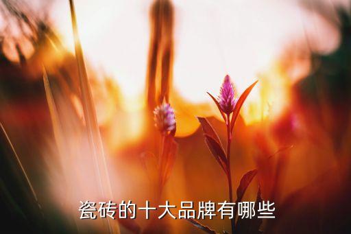  瓷砖的十大品牌有哪些