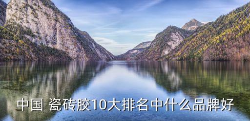 湖北卫生间瓷砖胶哪个好,湖北格子纹卫生间瓷砖怎么铺