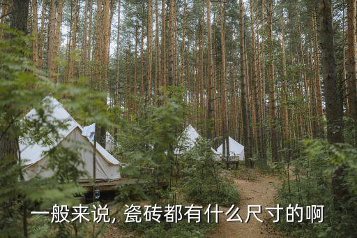 一般来说, 瓷砖都有什么尺寸的啊
