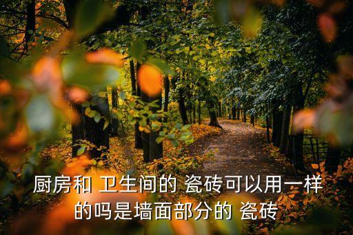 卫生间 厨房 一样瓷砖,厨房卫生间墙面装修新材料
