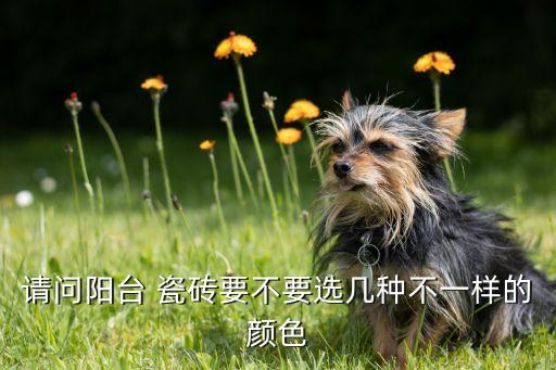 请问阳台 瓷砖要不要选几种不一样的颜色