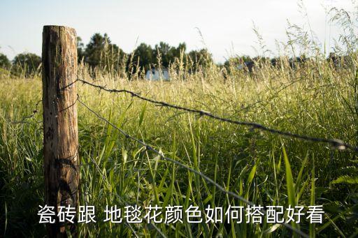 用地毯地板瓷砖效果图,民宿房间用地毯还是瓷砖还是地板