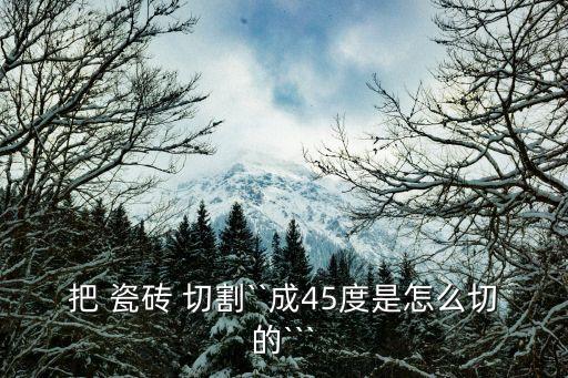 卫生间瓷砖切割拼图,客厅瓷砖切割拼图