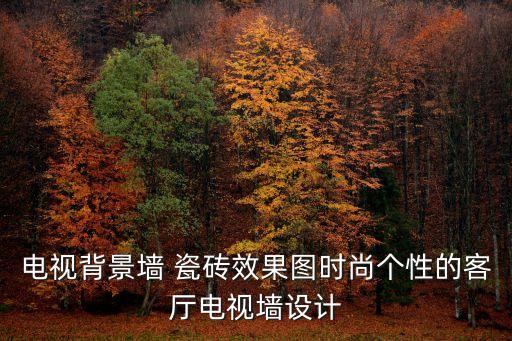 电视背景墙 瓷砖效果图时尚个性的客厅电视墙设计