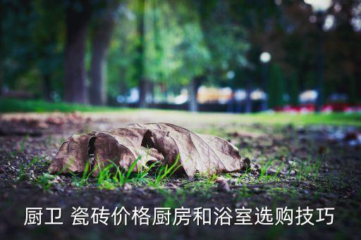 厨卫 瓷砖价格厨房和浴室选购技巧