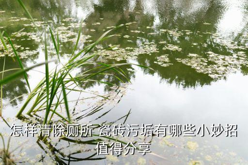 怎样清除厕所 瓷砖污垢有哪些小妙招值得分享