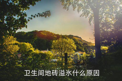 卫生间瓷砖里都是水