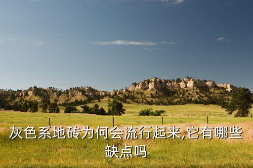 灰色系地砖为何会流行起来,它有哪些缺点吗