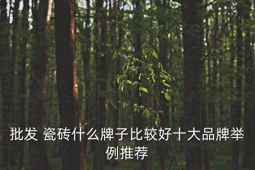 如何找相近瓷砖品牌商家,如何查看瓷砖品牌