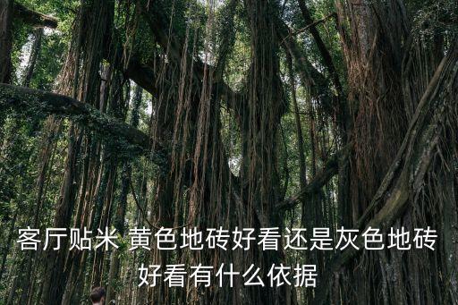 黄色瓷砖门厅效果图,卫生间黄色瓷砖装修效果图