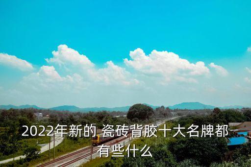 2022年新的 瓷砖背胶十大名牌都有些什么