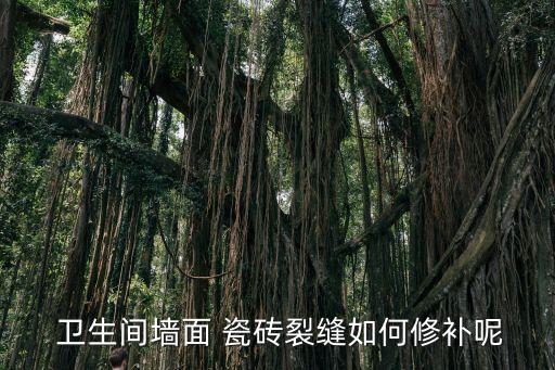  卫生间墙面 瓷砖裂缝如何修补呢
