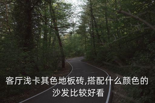 客厅浅卡其色地板砖,搭配什么颜色的 沙发比较好看