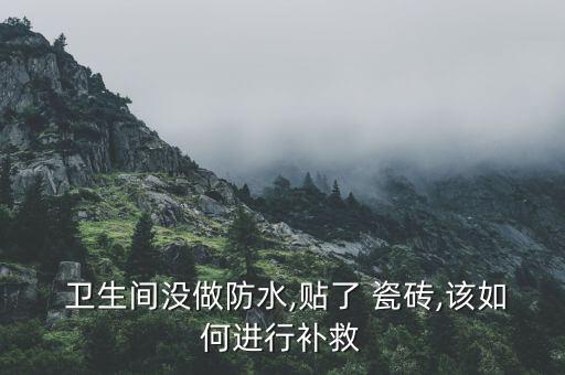  卫生间没做防水,贴了 瓷砖,该如何进行补救