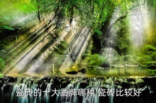  瓷砖的十大品牌哪种 瓷砖比较好