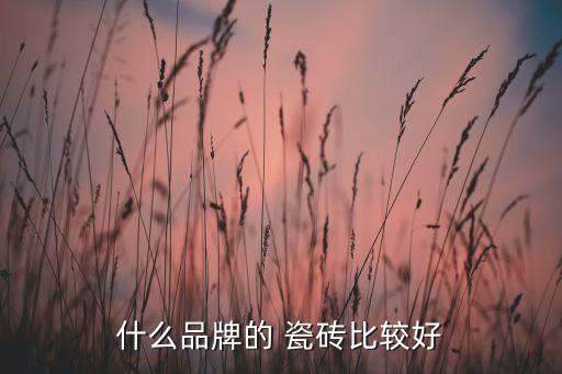 什么品牌的 瓷砖比较好