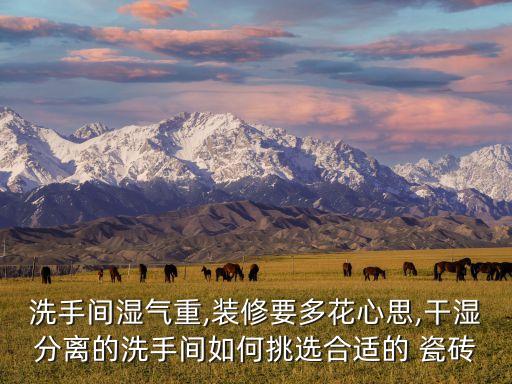 洗手间湿气重,装修要多花心思,干湿分离的洗手间如何挑选合适的 瓷砖