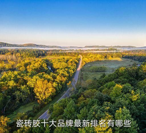  瓷砖胶十大品牌最新排名有哪些