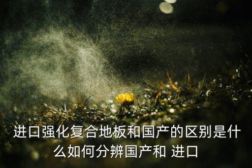 进口品牌与国瓷砖品牌差距