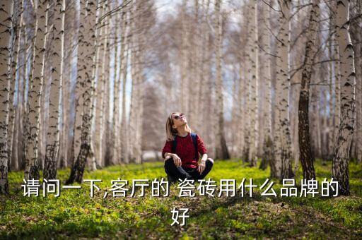 请问一下,客厅的 瓷砖用什么品牌的好