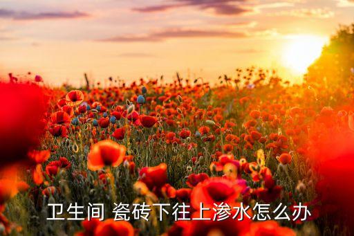  卫生间 瓷砖下往上渗水怎么办