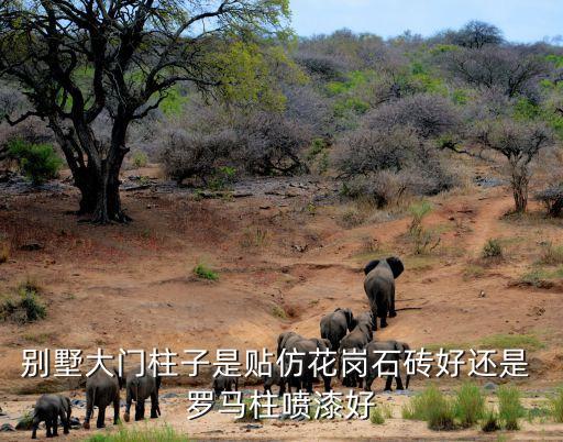 罗马柱可以挂瓷砖吗效果图,外墙罗马柱瓷砖效果图