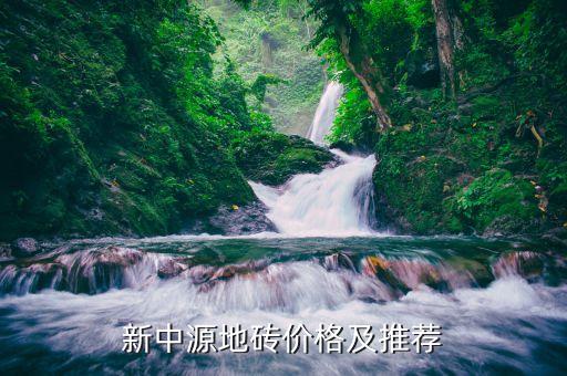 新中源地砖价格及推荐