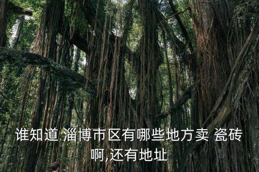 淄博财富陶瓷城瓷砖品牌,淄博陶瓷总部卖瓷砖怎么样