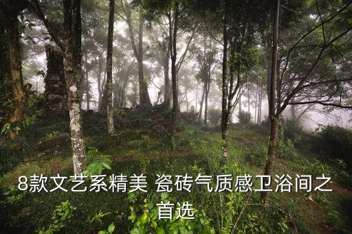 浴室瓷砖品牌包包黑色系,浴室地面黑色瓷砖发白怎么办