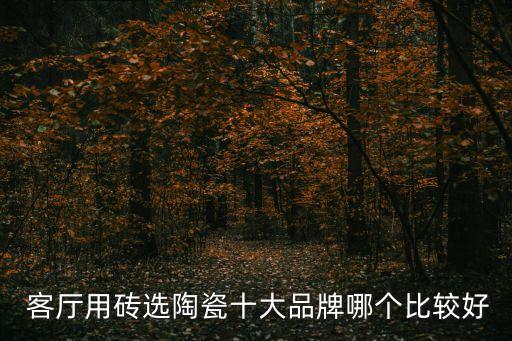  客厅用砖选陶瓷十大品牌哪个比较好