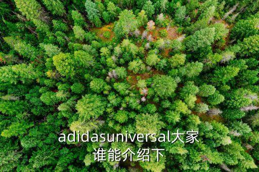adidasuniversal大家谁能介绍下