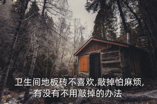  卫生间地板砖不喜欢,敲掉怕麻烦,有没有不用敲掉的办法