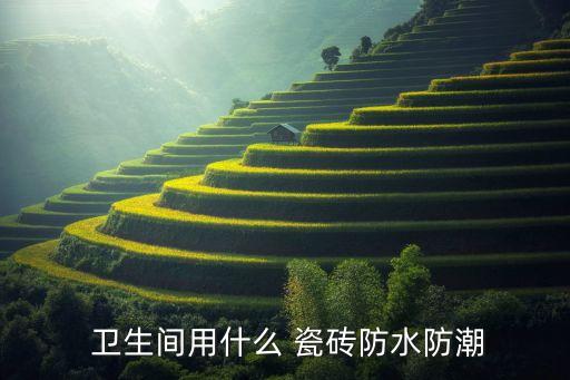  卫生间用什么 瓷砖防水防潮