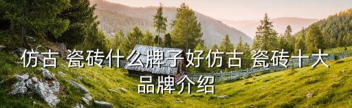 仿古 瓷砖什么牌子好仿古 瓷砖十大品牌介绍