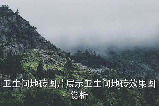 卫生间地砖图片展示卫生间地砖效果图赏析